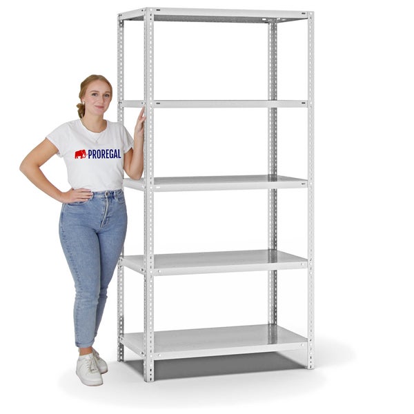 PROREGAL Fachbodenregal Schraubsystem Heavy-Duty Grundregal HxBxT 200 x 100 x 50 cm 5 Ebenen Fachlast 350 kg Beidseitig Nutzbar Lichtgrau