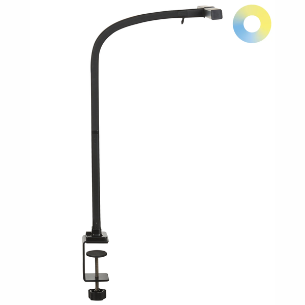 LED Schreibtischlampe klemmbar AURIGA mit Bewegungsmelder Metall Schwarz