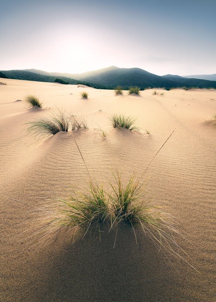 Sanddünenlandschaft mit Grasbüscheln und Hügeln im Hintergrund