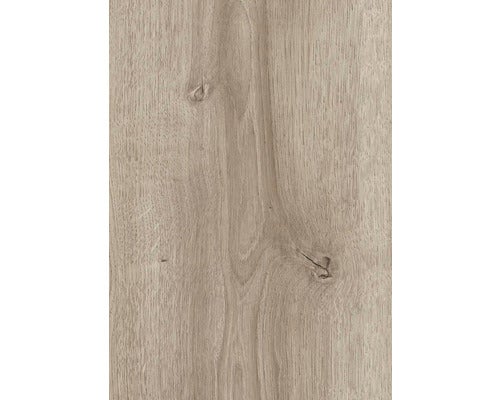 Laminat 8.0 Eiche Cordoba Moderno wasserfest