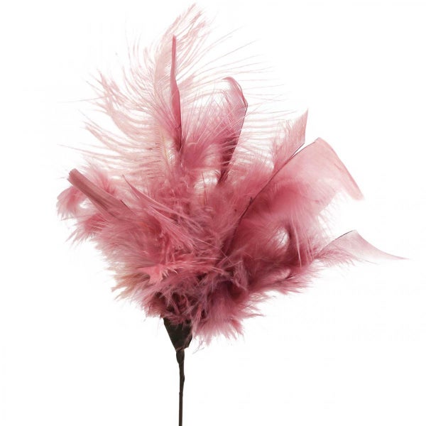 Dekorative Feder für florale Arrangements
