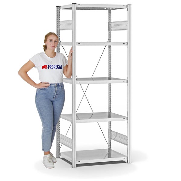 PROREGAL Fachbodenregal Stecksystem T-Profil Light-Duty Grundregal HxBxT 200 x 75 x 50 cm 5 Ebenen Fachlast 140 kg Einseitig Nutzbar Lichtgrau