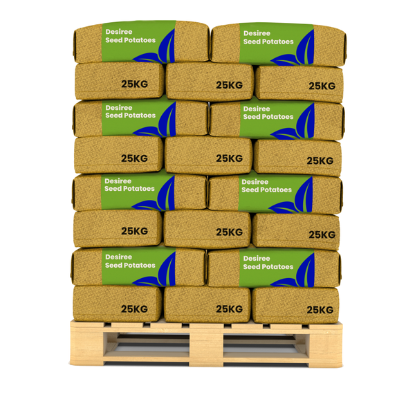 Rohrsteckschlüssel mit Aufhängung