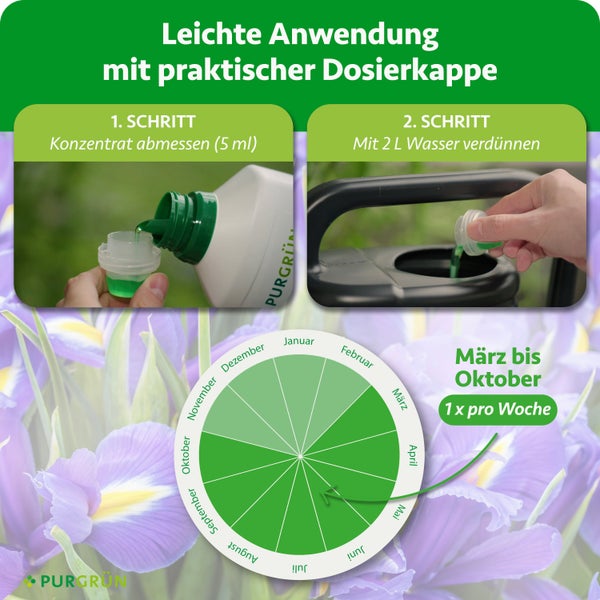 Anleitung für Düngerkonzentrat: 5 Milliliter abmessen, mit 2 Litern Wasser verdünnen. Anwendung März bis Oktober wöchentlich. Purgrün Logo.