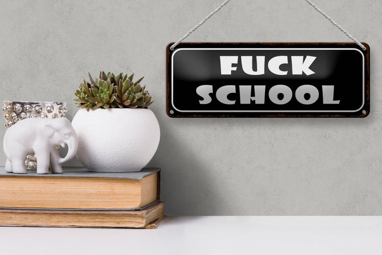 Blechschild Spruch 27x10cm Fuck school Dekoration