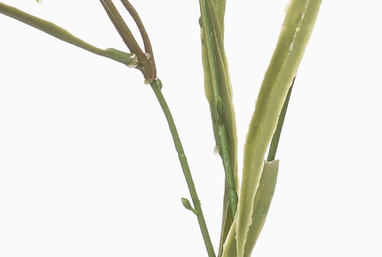 Detailansicht eines künstlichen Pflanzenstiels mit schmalen grünen Blättern.