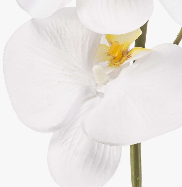 Nahaufnahme einer künstlichen Pflanze mit großen grünen Blättern und hellgrüner Musterung.