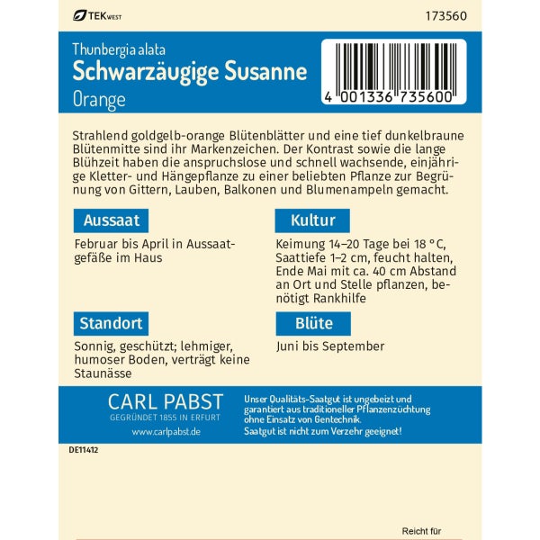 Schwarzäugige Susanne Orange-Gelb Samen von Pabst Keimkraft