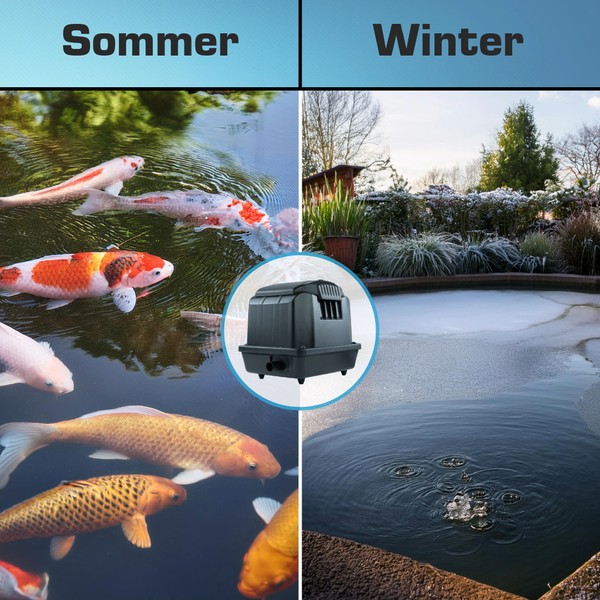 Teichbelüfter im Einsatz: links Sommer mit Koi-Fischen, rechts Winter mit eisfreier Stelle durch Luftblasen im Teich.