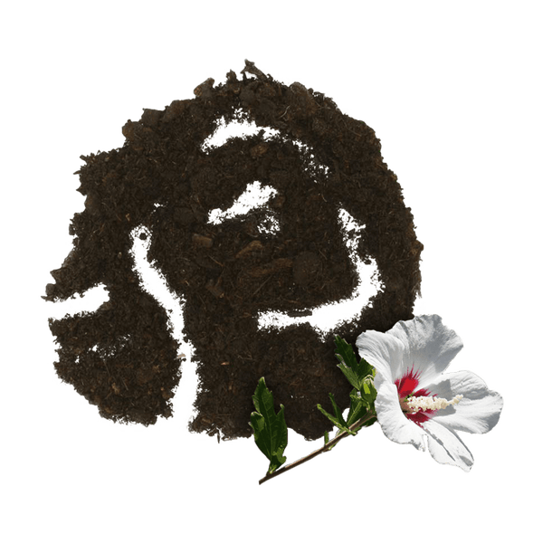 Blumenerde in Form einer Blüte angeordnet mit einer Hibiskusblüte im Vordergrund.