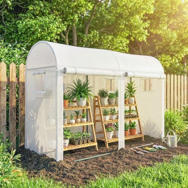 Folientunnel Gewächshaus mit Pflanzenregalen in einem Garten vor einem Holzzaun mit Gießkanne und Gartenwerkzeug.