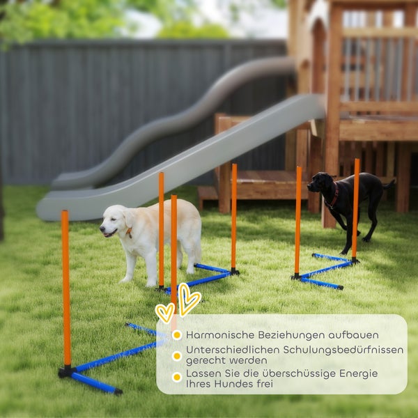 Hundetraining im Garten mit Slalomstangen. Ein goldener und ein schwarzer Hund laufen auf dem Rasen neben einem hölzernen Spielgerüst.