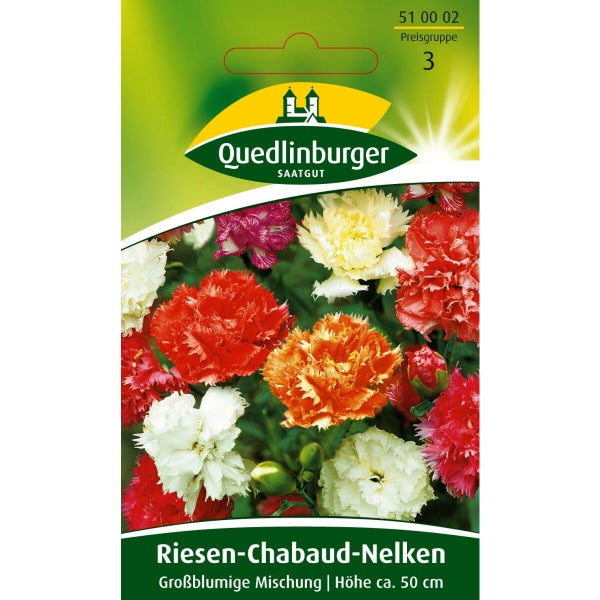 Chabaud-Nelken Großblumige Mischung Samen von Quedlinburger SAATGUT