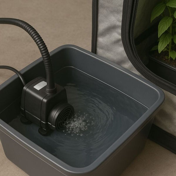 Wasserpumpe in Wasserbehälter neben einem Grow-Zelt