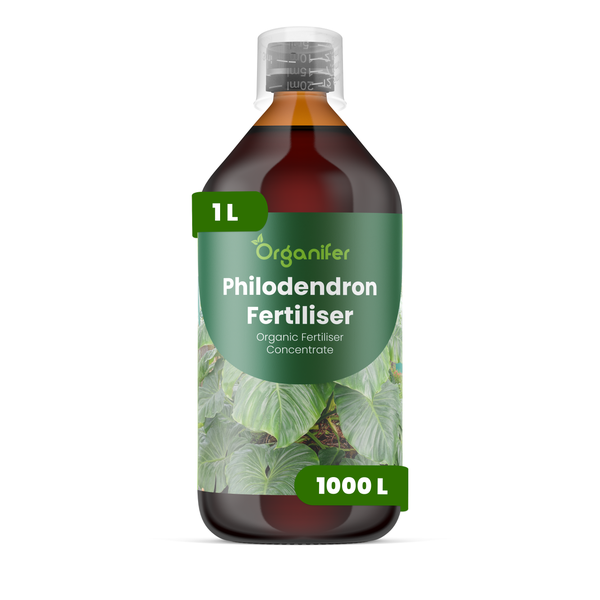 Organifer Philodendron Dünger, organisches Flüssigdüngerkonzentrat, 1 Liter Flasche für 1000 Liter Gießwasser.