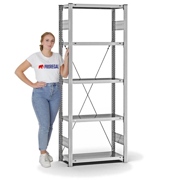 PROREGAL Fachbodenregal Stecksystem T-Profil Medium-Duty Grundregal HxBxT 200 x 75 x 30 cm 5 Ebenen Fachlast 220 kg Einseitig Nutzbar Verzinkt