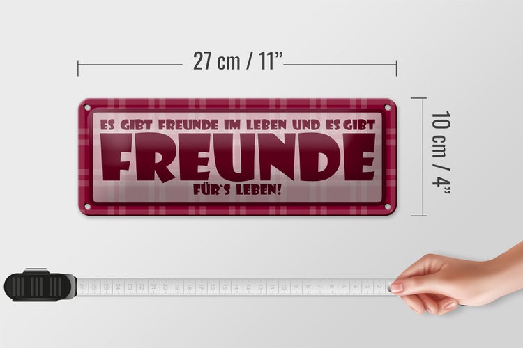 Blechschild Spruch 27x10cm Es gibt Freunde im Leben Dekoration