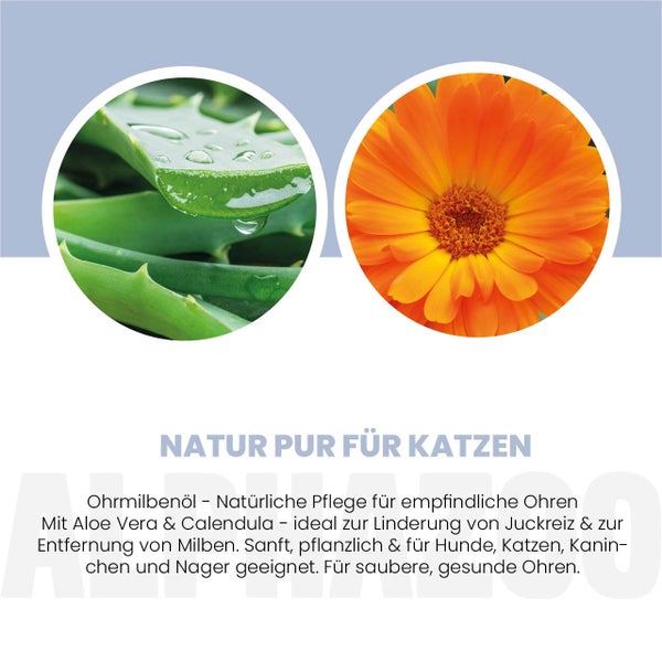 Aloe Vera und Calendula für Katzenohrenpflege
