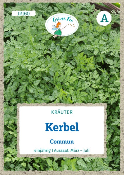 Samentüte für Kerbel Commun, Grüne Fee Logo, einjährige Kräuterpflanze, Aussaat von März bis Juli.