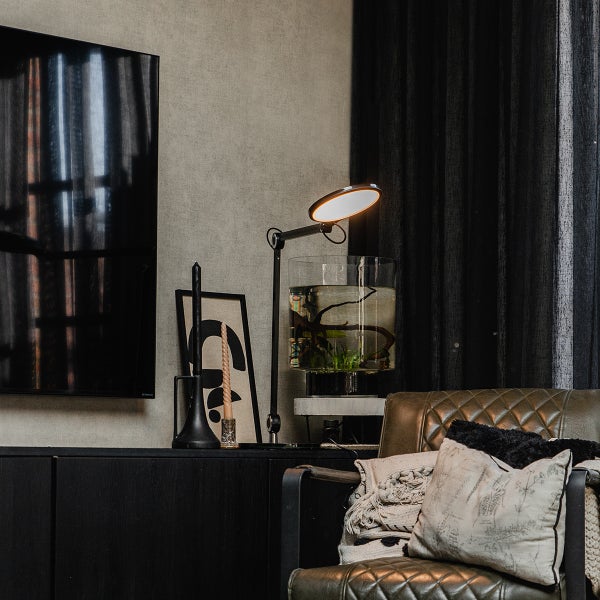 Wohnzimmer mit Fernseher, Lampe, Aquarium, Dekoration und Sessel.