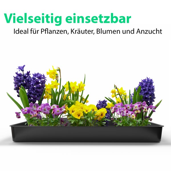 Blumenkasten mit Frühblühern wie Hyazinthen, Narzissen und Stiefmütterchen