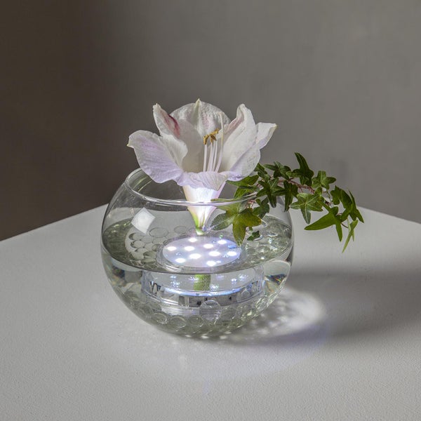 Dekorative Blumenvase mit Beleuchtung und Amaryllisblüte