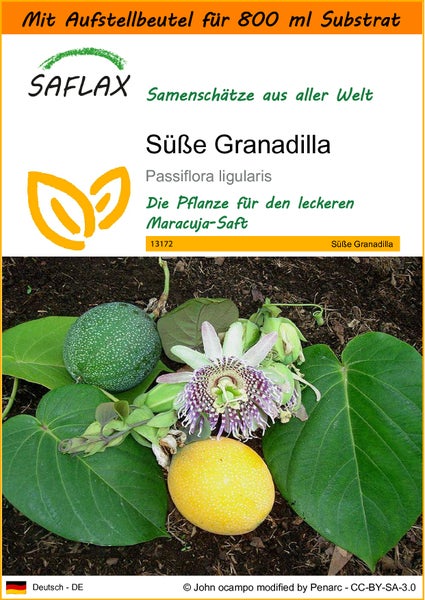 SAFLAX Garden in the bag - Süße Granadilla - Passiflora ligularis - 20 Samen - Mit Anzuchtsubstrat im praktischen, selbst aufstellenden Beutel