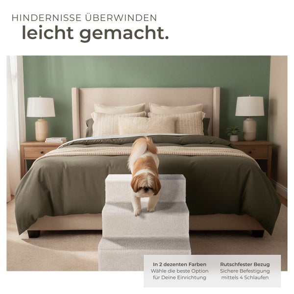 Hund auf Treppe vor einem Bett in einem Schlafzimmer