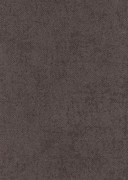 Nahaufnahme von blühenden, weißen Fingersträuchern im Garten