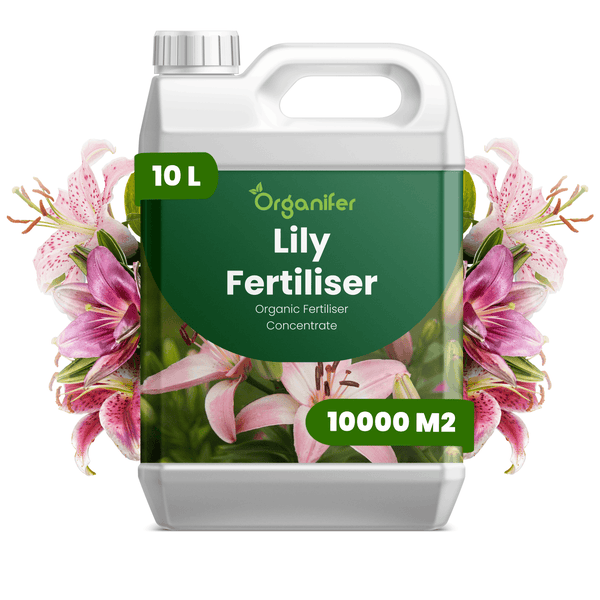 Organifer Lilien-Dünger, organisches Düngerkonzentrat, 10 Liter Kanister für 10000 Quadratmeter.