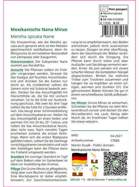 SAFLAX Garden to go - Mexikanische Nana Minze - Mentha spicata Nane - 500 Samen - Mit Topf, Klima - Deckel und Anzuchtsubstrat