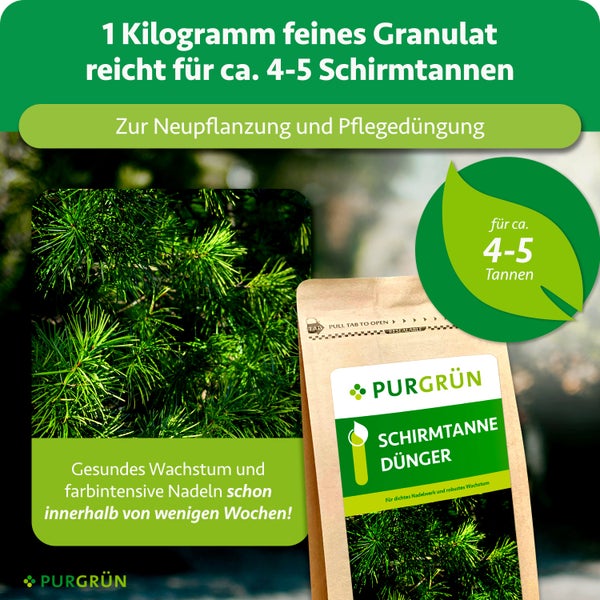 Purgrün Schirmtannendünger, 1 Kilogramm feines Granulat für circa 4 bis 5 Tannen, geeignet für Neupflanzung und Pflegedüngung.