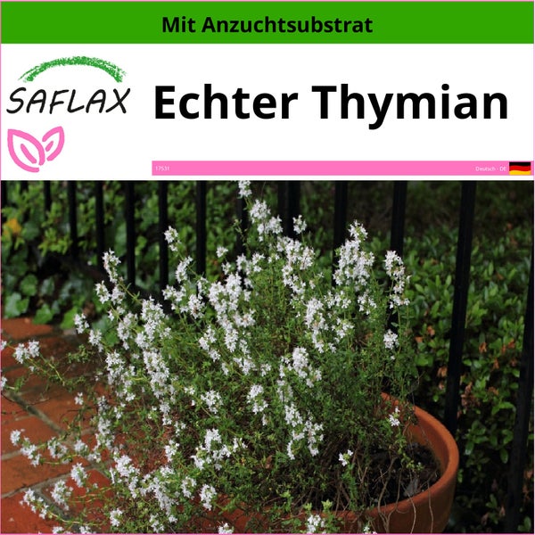 SAFLAX  - Echter Thymian - Thymus vulgaris - 200 Samen - Mit keimfreiem Anzuchtsubstrat