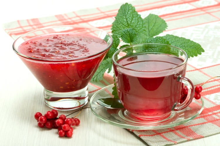 SAFLAX  - Wu-Wei-Zi Beere - Schisandra chinensis - 15 Samen - Mit keimfreiem Anzuchtsubstrat