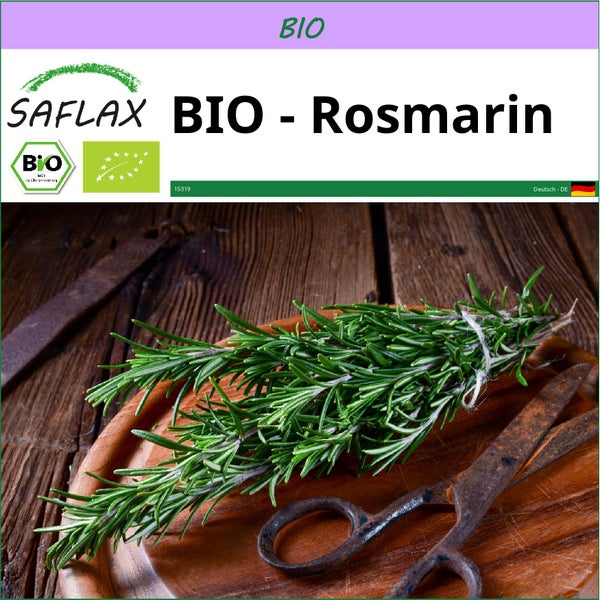 SAFLAX  - BIO - Rosmarin - Rosmarinus officinalis - 40 Samen