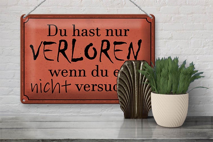 Blechschild Spruch 30x20cm Du hast nur verloren wenn du es