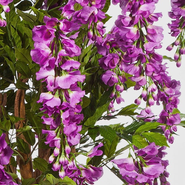 Detailansicht eines künstlichen Blauregens mit einem Stamm aus verschlungenen Echtholzzweigen, grünen Blättern und violetten Blüten.
