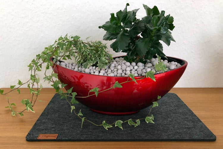 Zimmerpflanzen-Arrangement mit Efeu in glänzender roter ovaler Schale mit weißen Steinen auf einer grauen Filzmatte mit Hoffmann Logo.