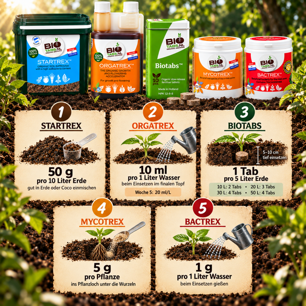Anwendungstabelle für Biotabs Bio Dünger Produkte wie Startrex Orgatrex und Bactrex zur biologischen Pflanzenpflege und Bodenverbesserung.