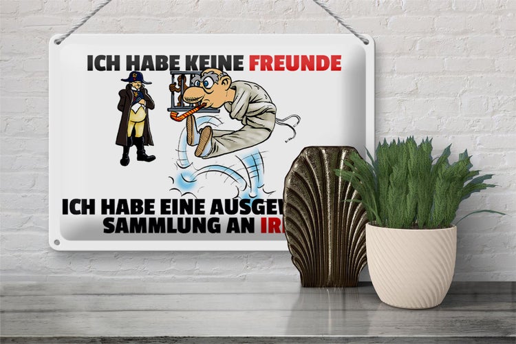 Blechschild Spruch 30x20cm keine Freunde Sammlung an Irren