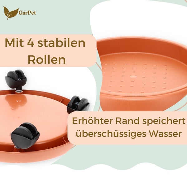 Blumenroller mit vier Rollen und erhöhtem Rand zur Wasserspeicherung