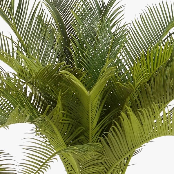 Künstliche Monstera Blätter aus Kunststoff, grün.