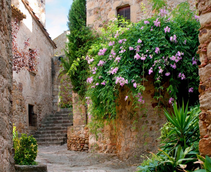 Gasse mit Steintreppe, umgeben von Steinmauern und üppiger Vegetation