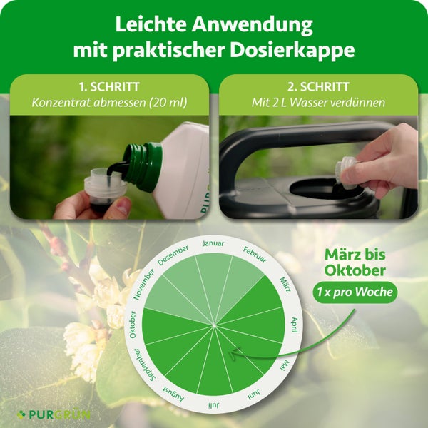 Dekoratives Wohnzimmer mit einem Bullen-Gemälde