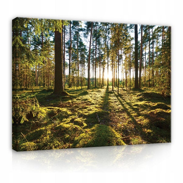 Leinwandbild Wald Natur Bilder Wohnzimmer 100X70 cm