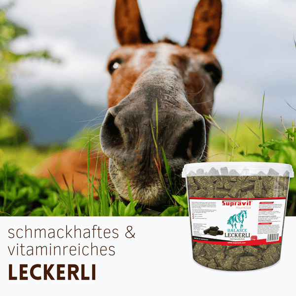 Dose mit Supravit Balance Leckerli für Pferde vor einem unscharfen Pferdekopf auf einer Wiese.