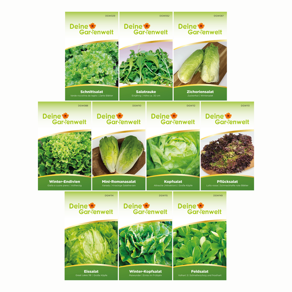 Zehn Samentüten für Salate von Deine Gartenwelt, darunter Schnittsalat, Salatrauke, Endivien, Romanasalat, Kopfsalat, Eissalat und Feldsalat.
