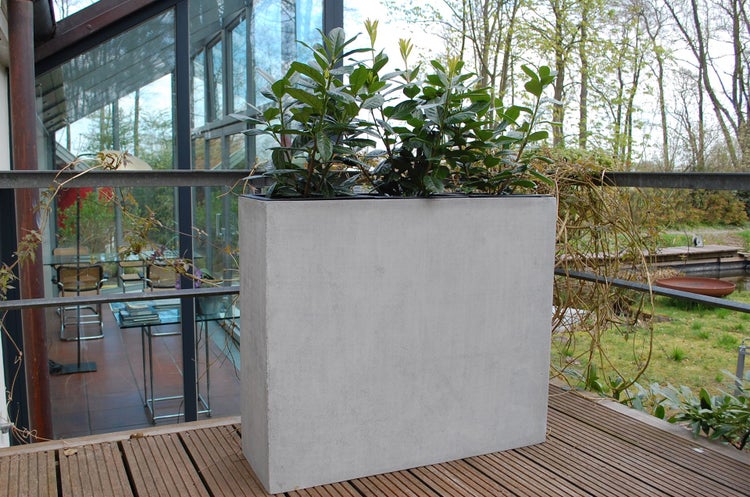 Großer rechteckiger Pflanzkübel in grauer Betonoptik auf einer Holzterrasse mit grünen Pflanzen vor einem modernen Glasbau.
