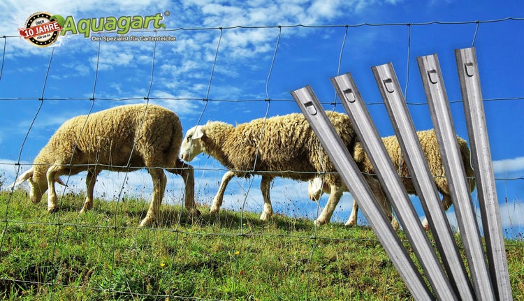 40 W-Profil Zaunanker Erdanker für Wildzaun Forstzaun Weidezaun 70cm