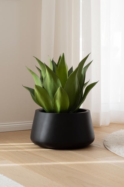 Künstliche Agave in einem schwarzen, runden Pflanztopf auf hellem Holzboden neben einem weißen Vorhang.